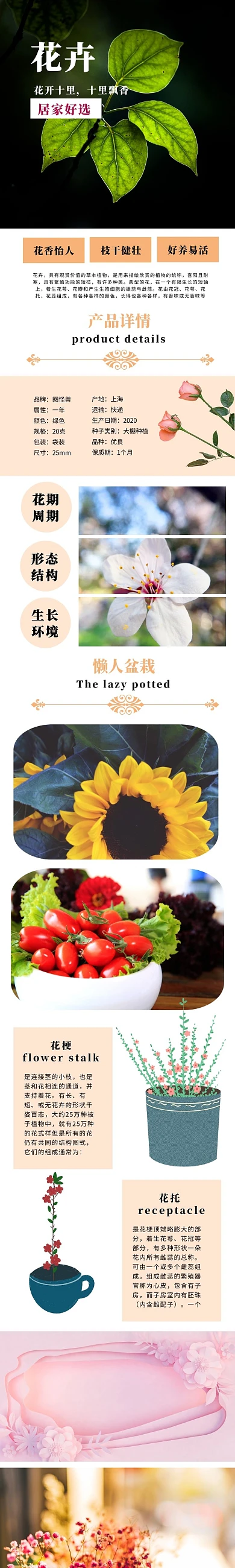 浅黄色简约花卉淘宝设计详情页