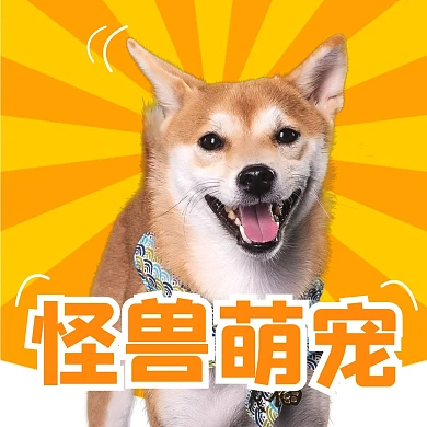 黄色创意卡通宠物店红包头像