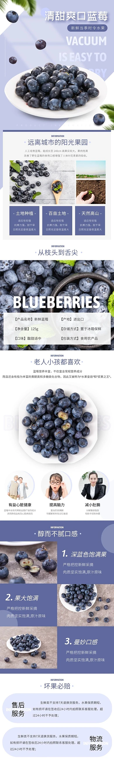 蓝莓水果简约几何蓝色食品详情页
