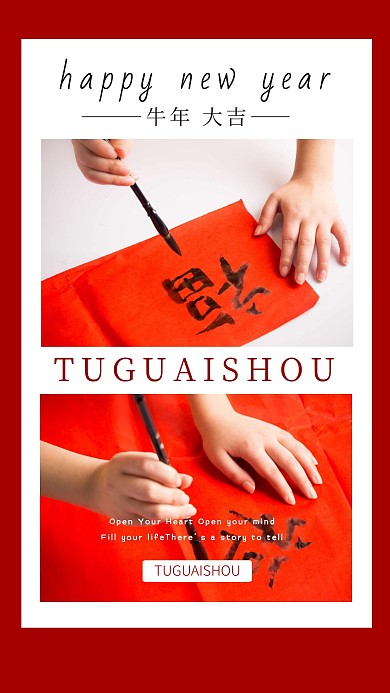 新年喜慶福字簡約創(chuàng)意書法寫真相冊