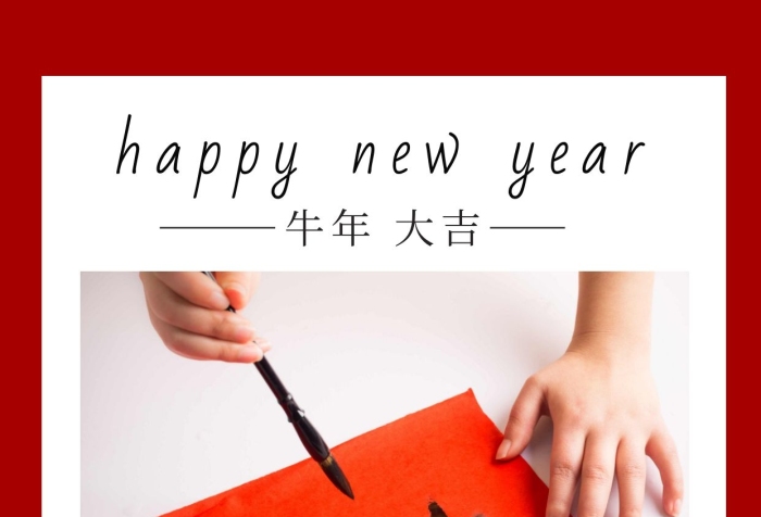 新年喜慶福字簡(jiǎn)約創(chuàng)意書(shū)法寫(xiě)真相冊(cè)
