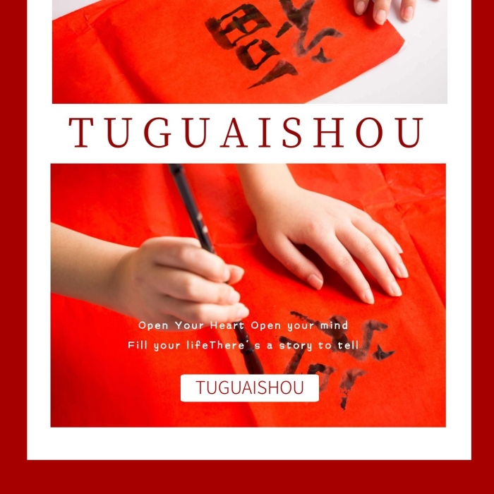 新年喜慶福字簡(jiǎn)約創(chuàng)意書(shū)法寫(xiě)真相冊(cè)