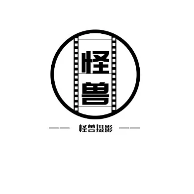 摄影工作室卡通黑白简约LOGO