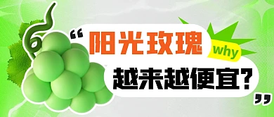 阳光玫瑰简约彩色微信公众号封面首图