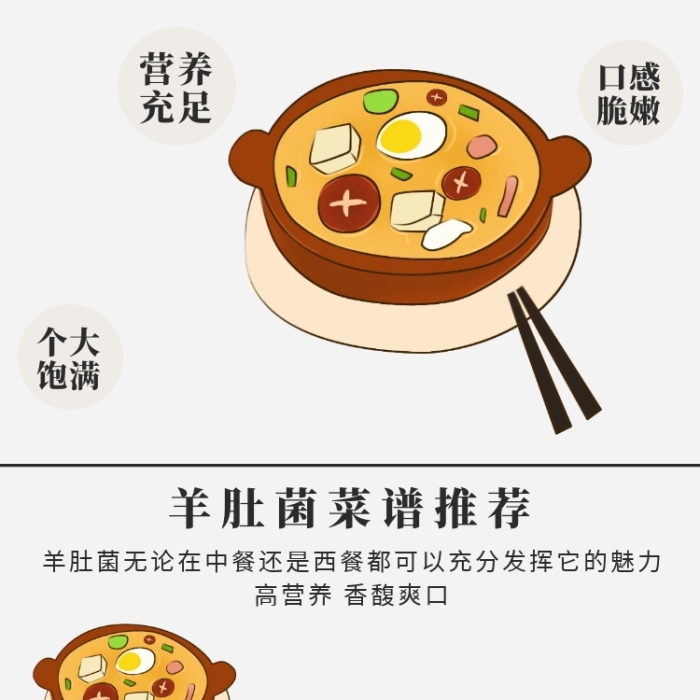 羊肚菌詳情頁	