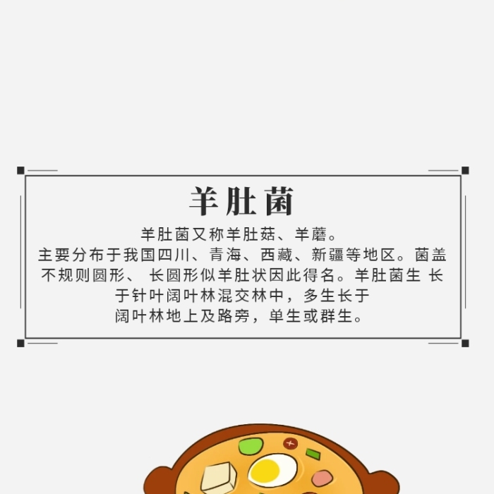 羊肚菌詳情頁	