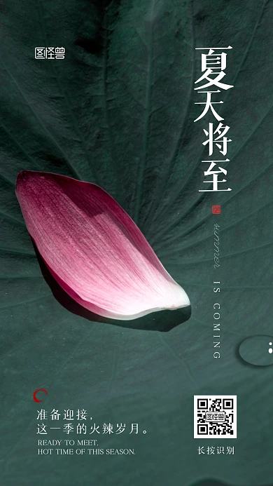 夏天将至荷花宣传摄影图手机海报