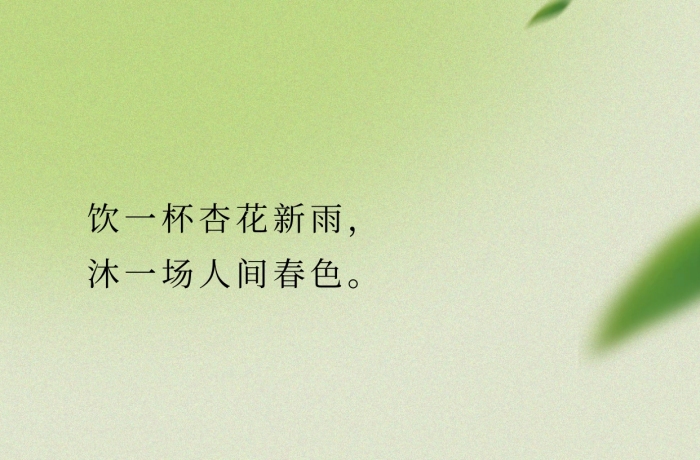 简约大气雨水节气古诗词小红书封面