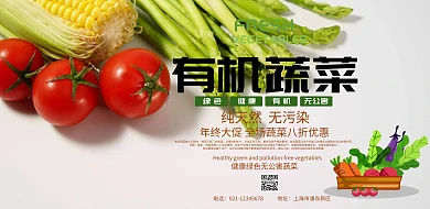 有机蔬菜年终促销宣传海报