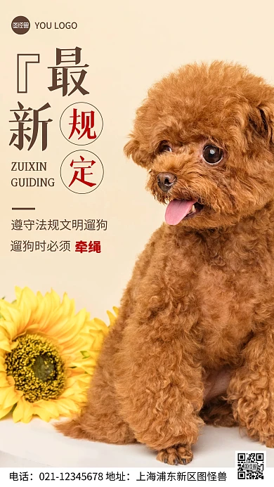 摄影图最新规定褐色简约风手机海报