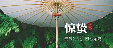 简约摄影纸伞惊蛰节气公众号首图