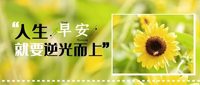 提升自己正能量早安公众号首页封面