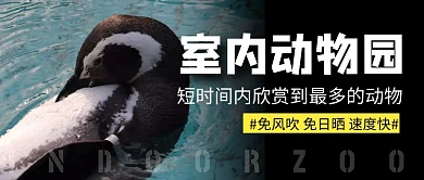 摄影风室内动物城公众号封面首图