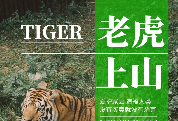 綠色老虎背景老虎上山簡約宣傳海報(bào)