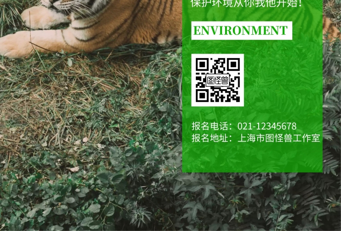 綠色老虎背景老虎上山簡約宣傳海報(bào)
