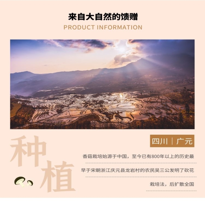 干香菇簡約清新淺褐色菌類食品詳情頁