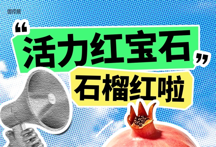 秋季石榴水果促销手机海报