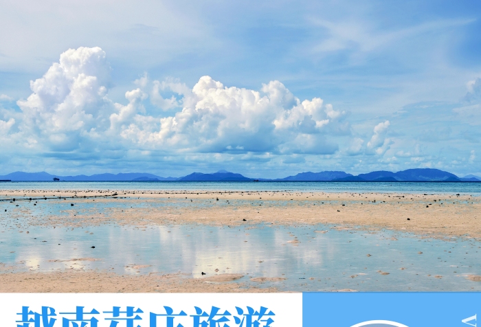 越南芽莊藍(lán)色創(chuàng)意宣傳旅游豎版海報(bào)