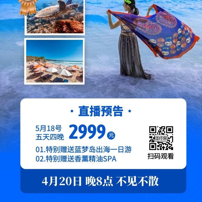 嗨玩巴厘打卡藍(lán)夢(mèng)國(guó)外旅游攝影風(fēng)直播海報(bào)