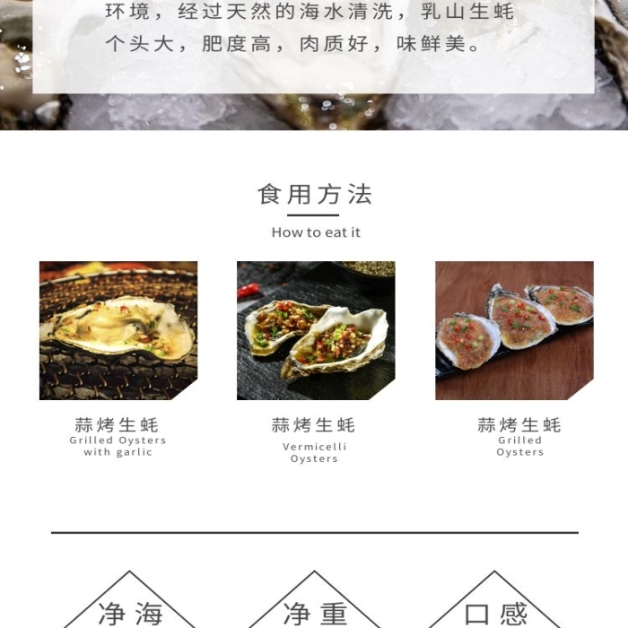 乳山生蠔彩色系簡約詳情頁