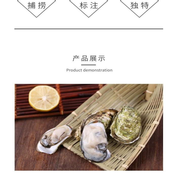 乳山生蠔彩色系簡約詳情頁