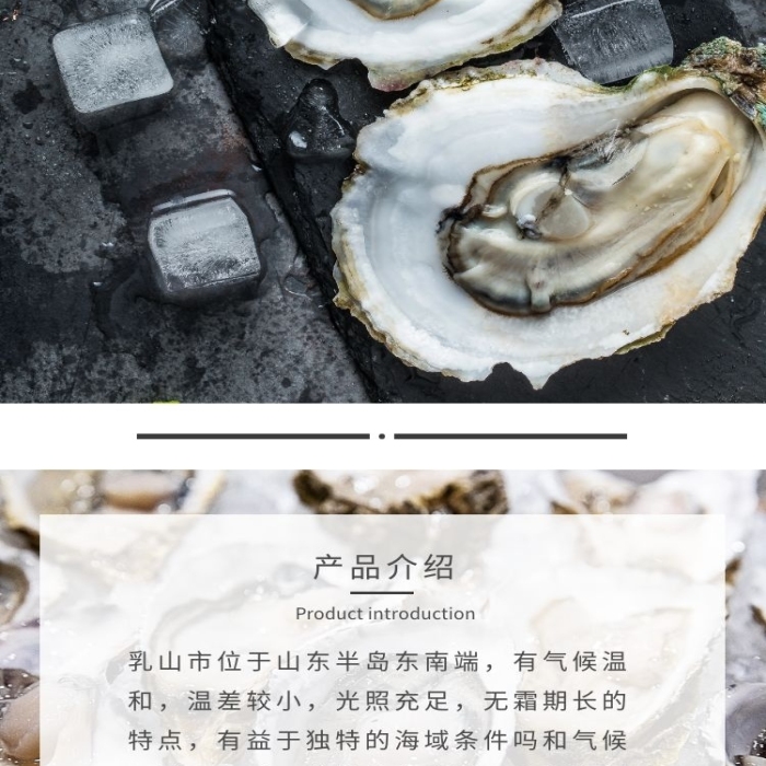 乳山生蠔彩色系簡約詳情頁