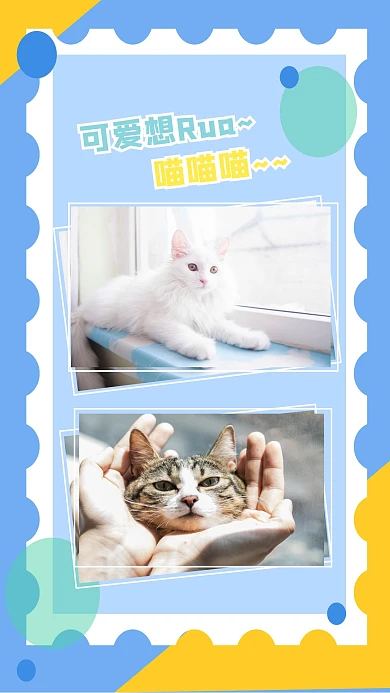 黄蓝猫咪可爱萌宠晒图双图相册