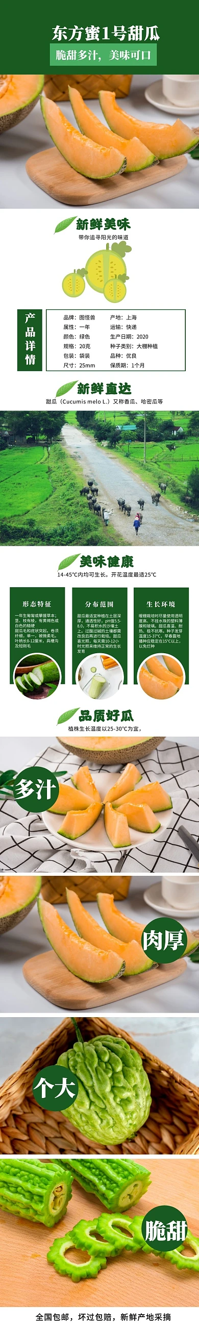 绿色简约东方蜜1号甜瓜详情页