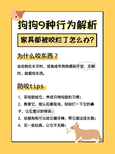 狗狗9种行为解析小红书封面