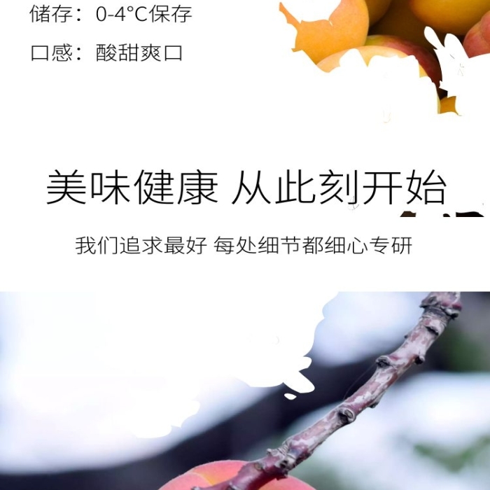 簡約大氣新疆黃杏產(chǎn)品詳情頁設(shè)計