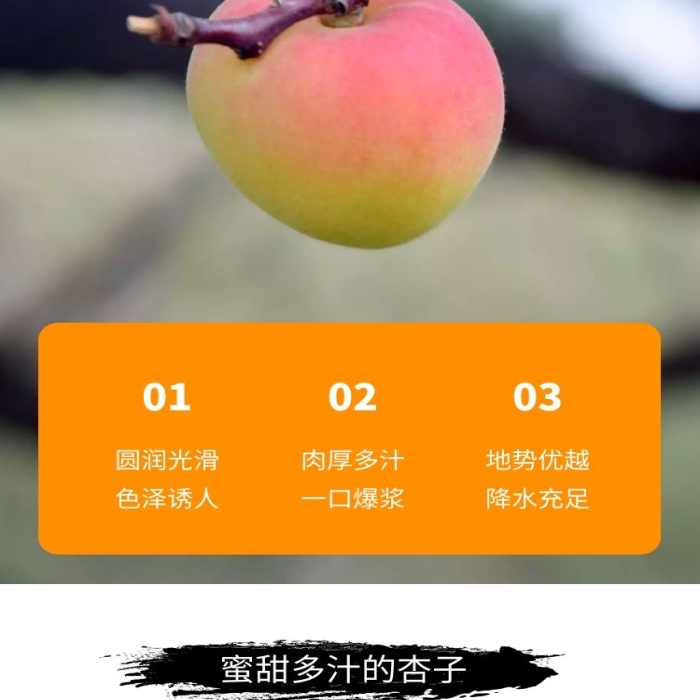 簡約大氣新疆黃杏產(chǎn)品詳情頁設(shè)計