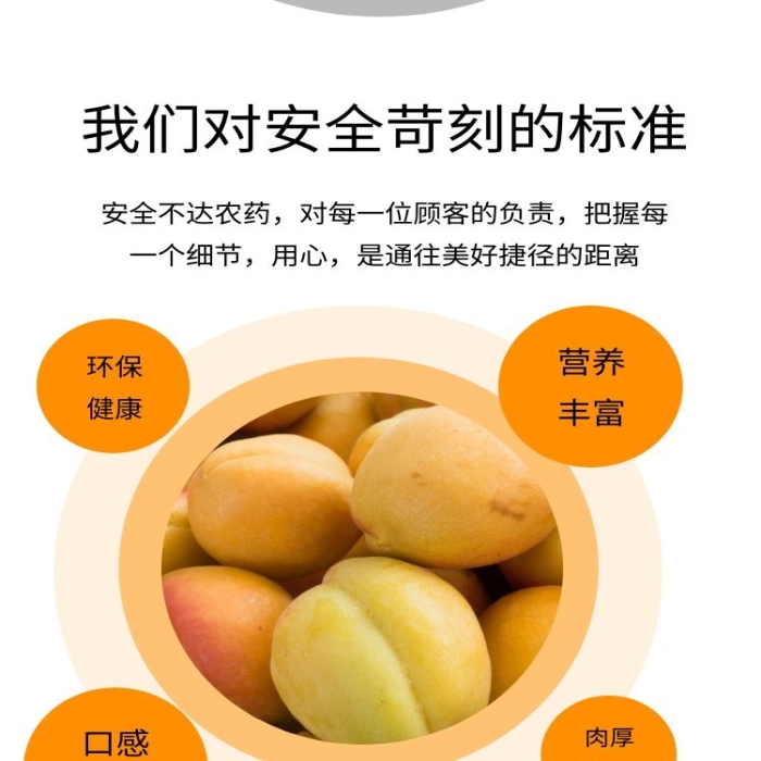 簡約大氣新疆黃杏產(chǎn)品詳情頁設(shè)計