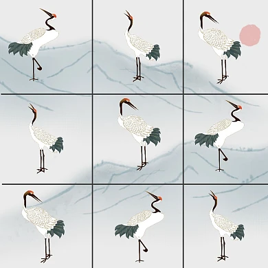 白鹤九宫格公众号配图