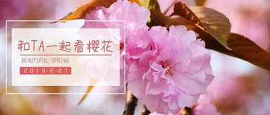 春天和爱人一起看樱花公众号封面