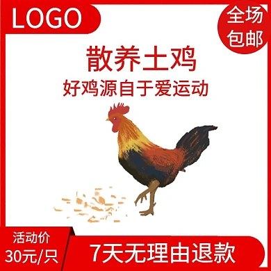 创意散养土鸡电商主图