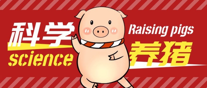 公眾號封面養(yǎng)豬紅色簡約公眾號首圖
