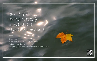落叶心情励志摄影赏鉴简约明信片
