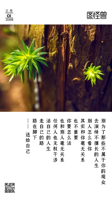 简约绿色植物爱生活爱自己日签