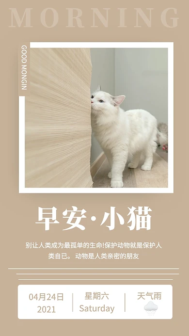 早安小猫裸色摄影简约创意日签