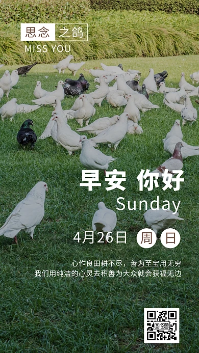 鸽子思念早安你好绿色简约摄影日签