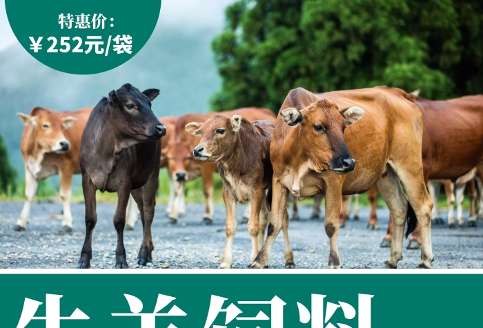 牛羊飼料簡(jiǎn)約線框綠色動(dòng)物海報(bào)