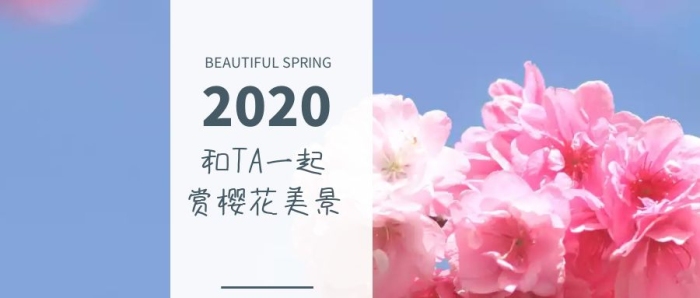 和爱人一起赏樱花美景原创文艺公众号封面