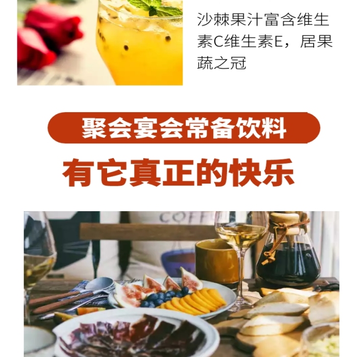 好味道紅色簡(jiǎn)約沙棘飲料詳情頁(yè)	
