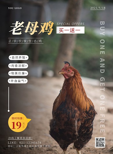 簡約攝影老母雞買一送一宣傳豎版海報