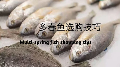 新鲜水产鱼肉鲜嫩多春鱼公众号封面模版