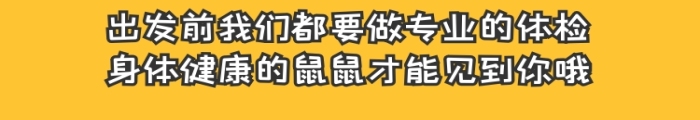 倉鼠淘寶詳情圖黃色