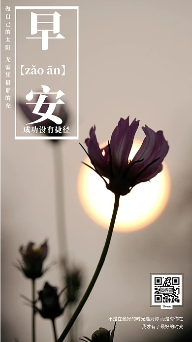 木棉花淡紫色你好早安地坪