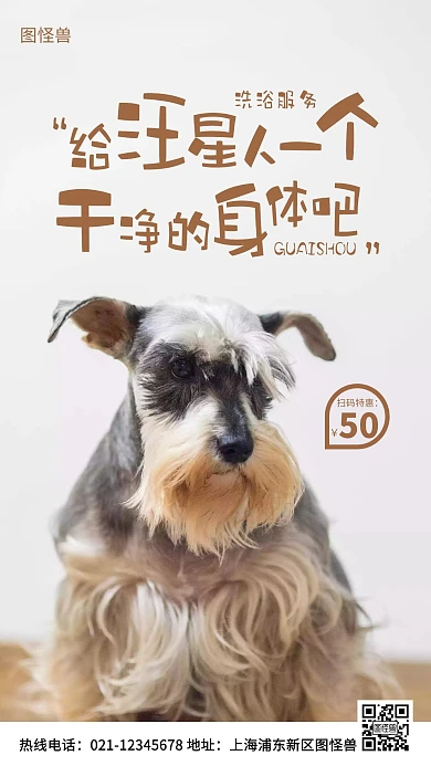 宠物汪星人精细洗浴服务棕色简约风手机海报