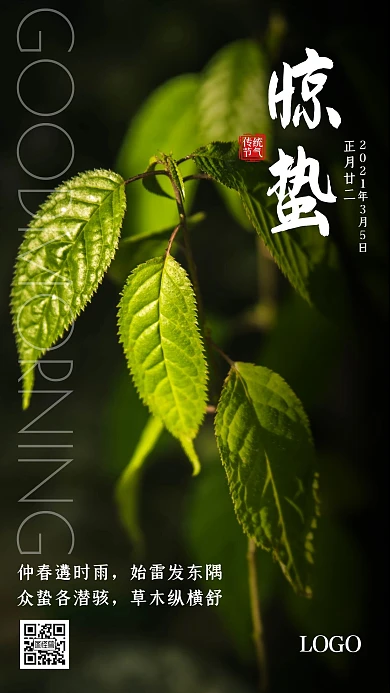 绿色大气简约摄影绿叶植物春天早安惊蛰日签