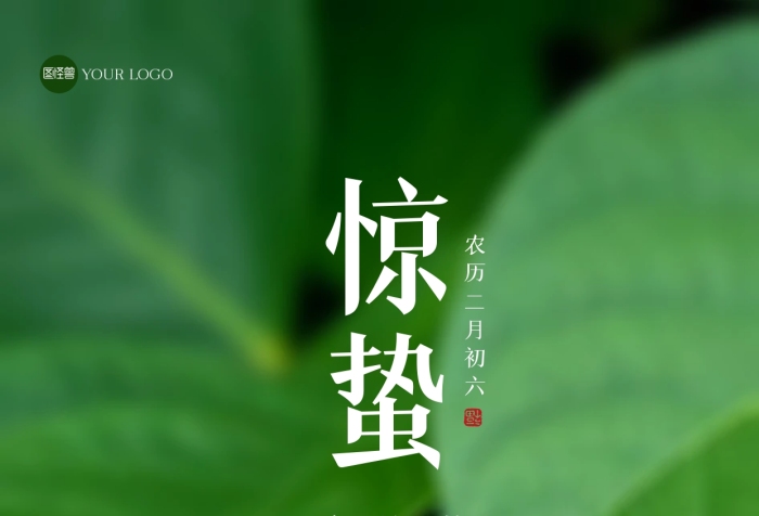 簡約驚蟄祝福全屏海報.